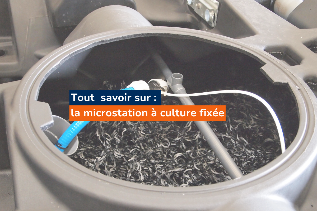 Article blog bionest 3